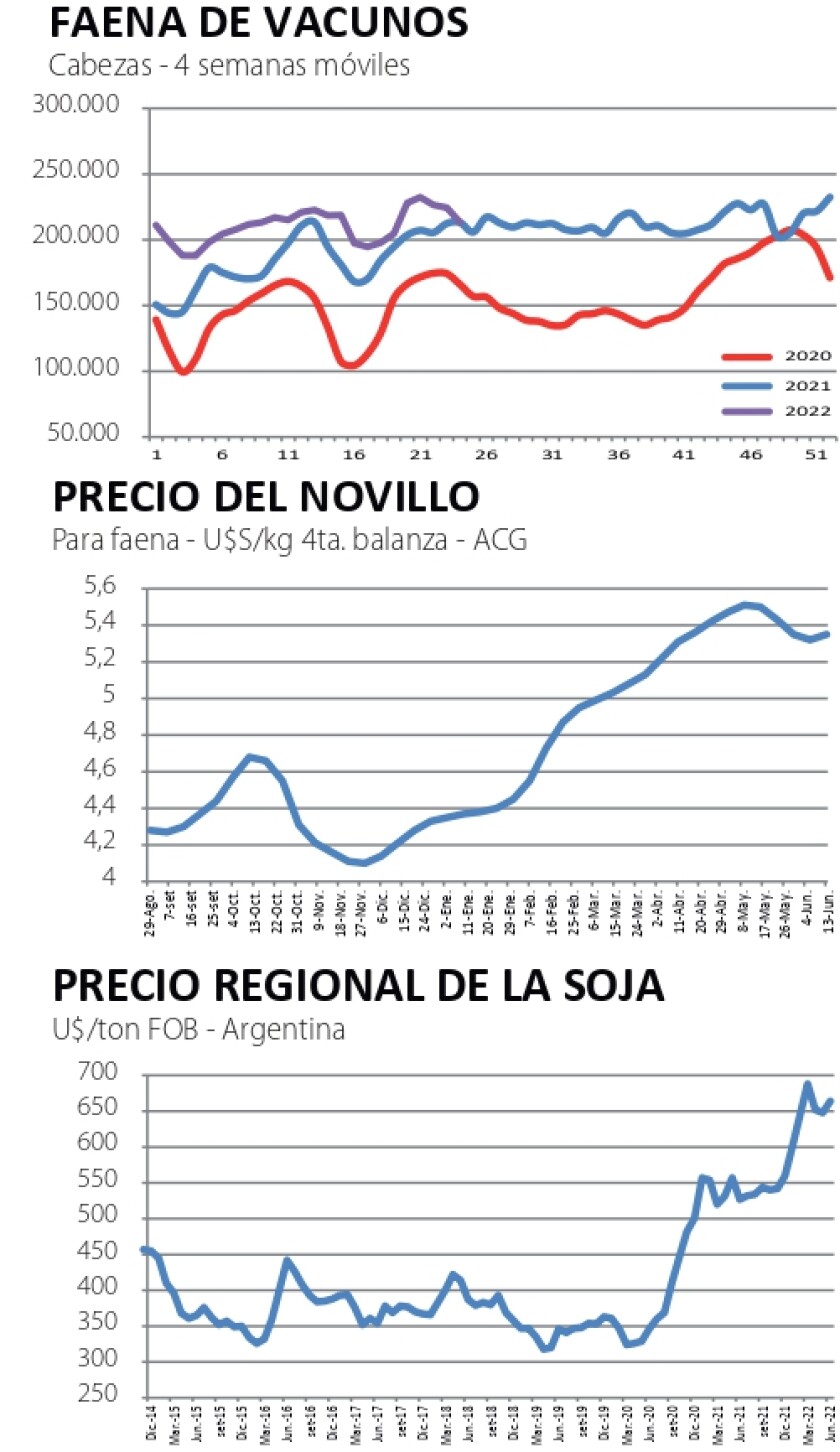 Indicadores