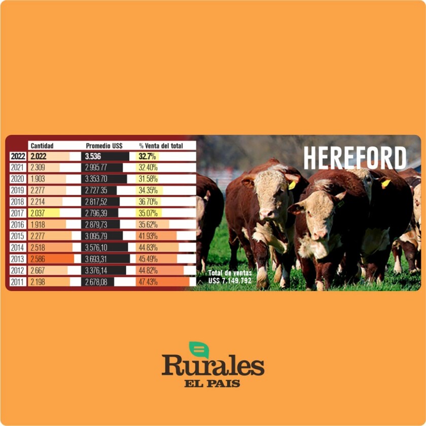 Hereford