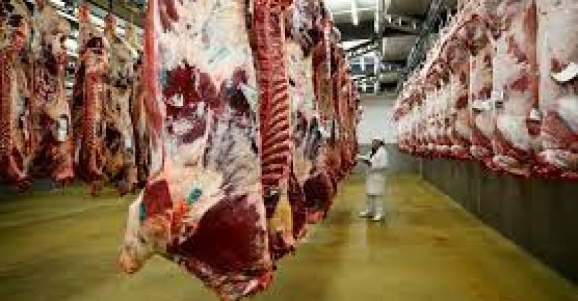 carne hacia china.