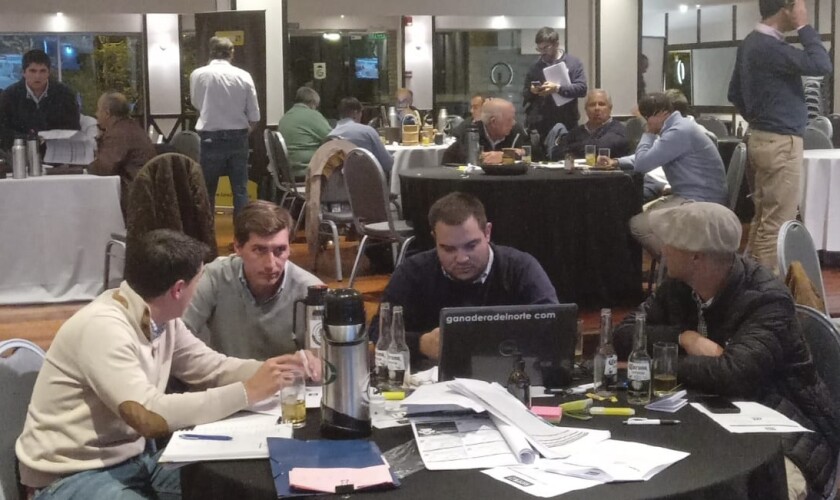 Foto Lote 21 mayo.jpg
