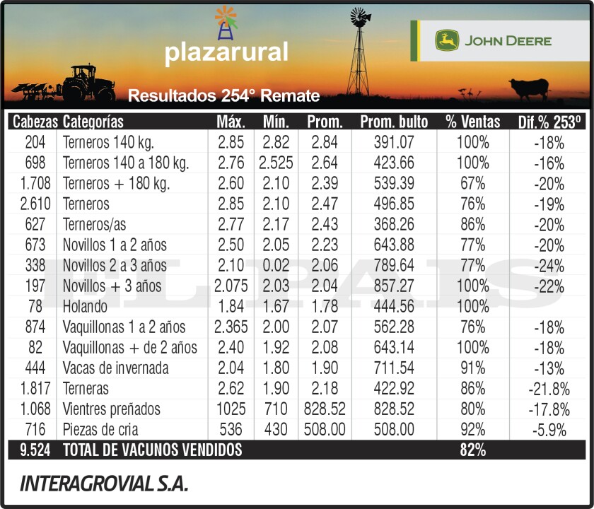 3x7 Plaza 254.jpg