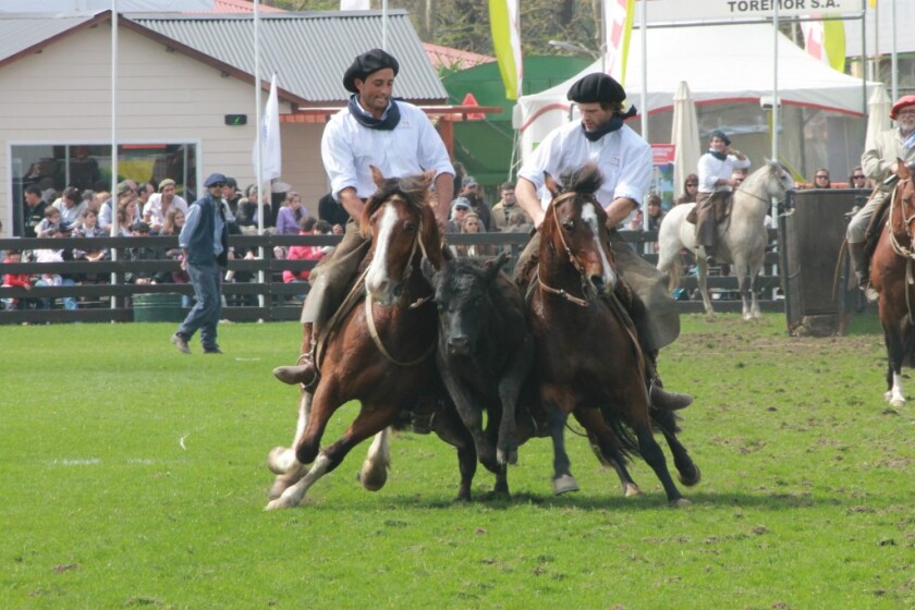Criollos Primavera