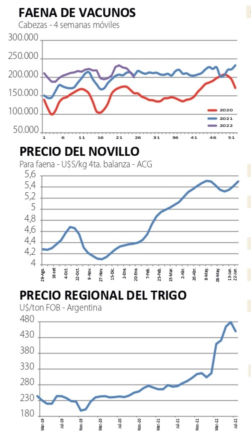 Gràficas NCL.jpg