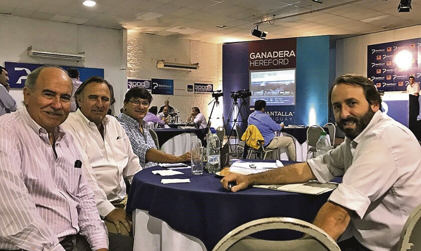 imagen-460424f6-8554-45fe-ad61-98733801c090-12228735.jpg