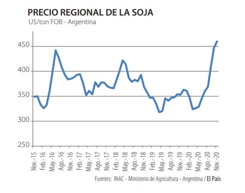 soja.jpg