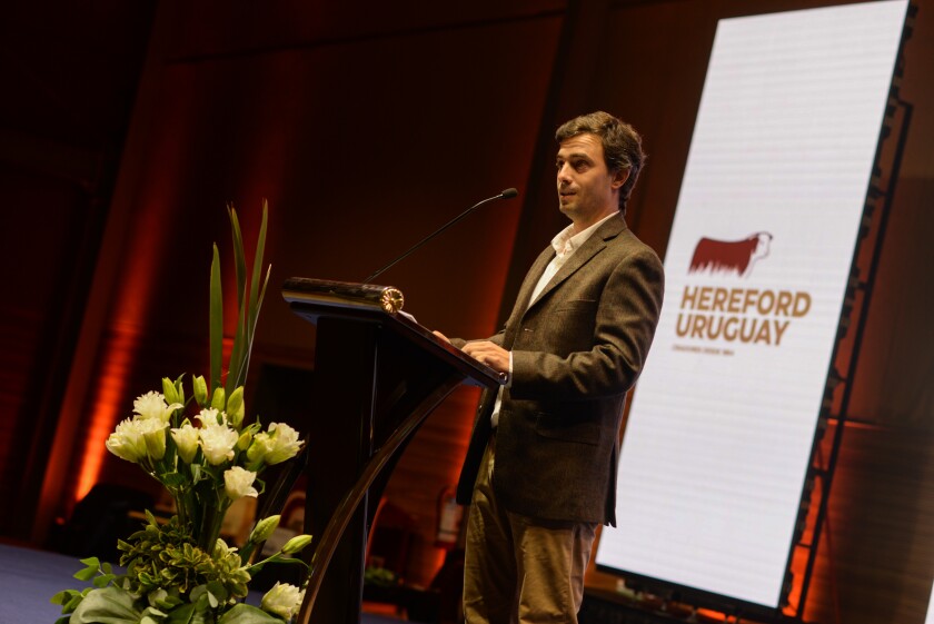 Lic. Fernando Alfonso Bordaberry