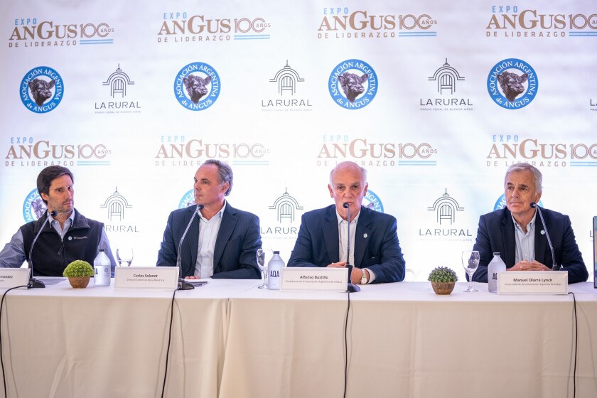 Angus del Centenario.jpg
