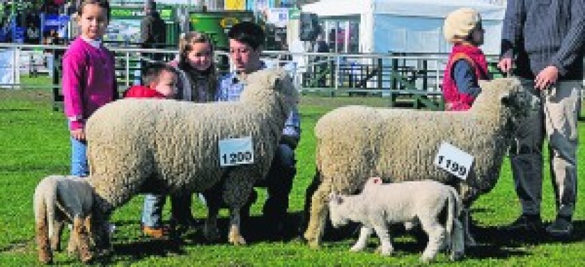 Southdown