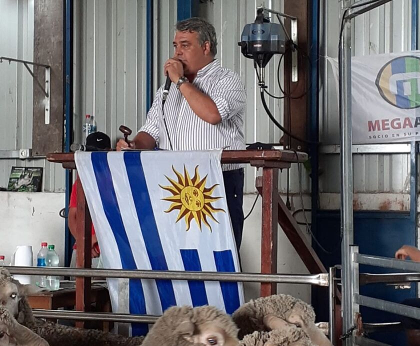 megaagro.jpg