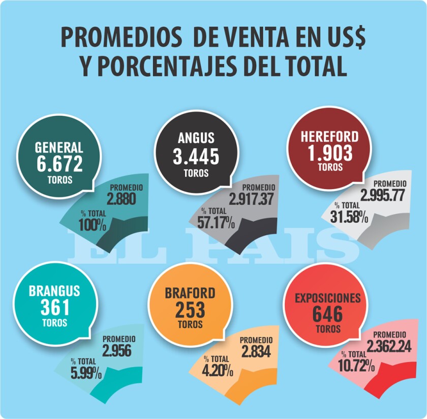 porcentajes.jpg