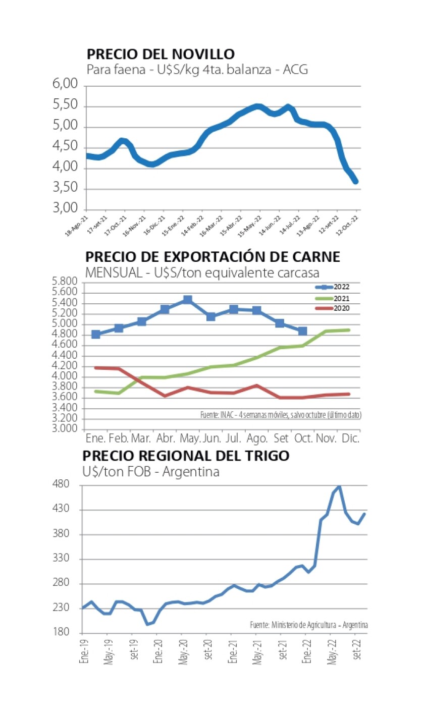 indicadores