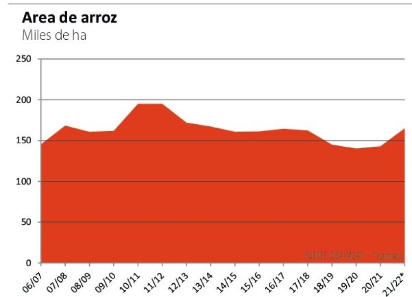 area-de-arroz.jpg