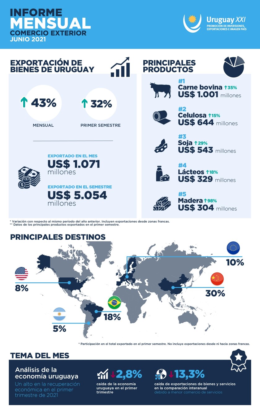 infografiea-informe-junio-1.jpg