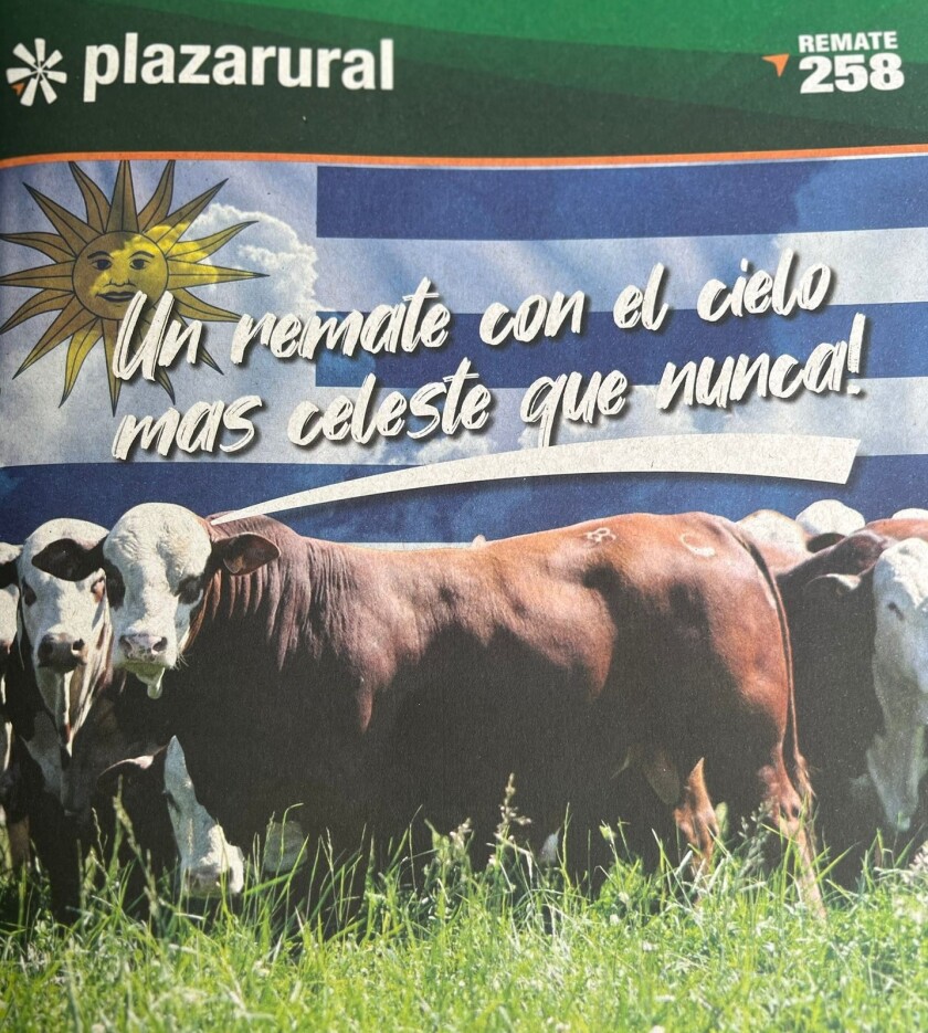 Foto nota 2.jpg
