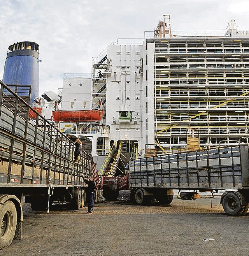 imagen-exportacion-en-pie.jpg