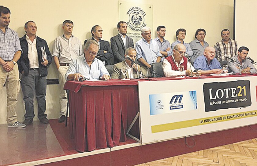 imagen-63bea85e-d188-45c2-a951-6181485121d8.jpg