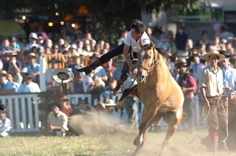 20100327 Criolla 800x530