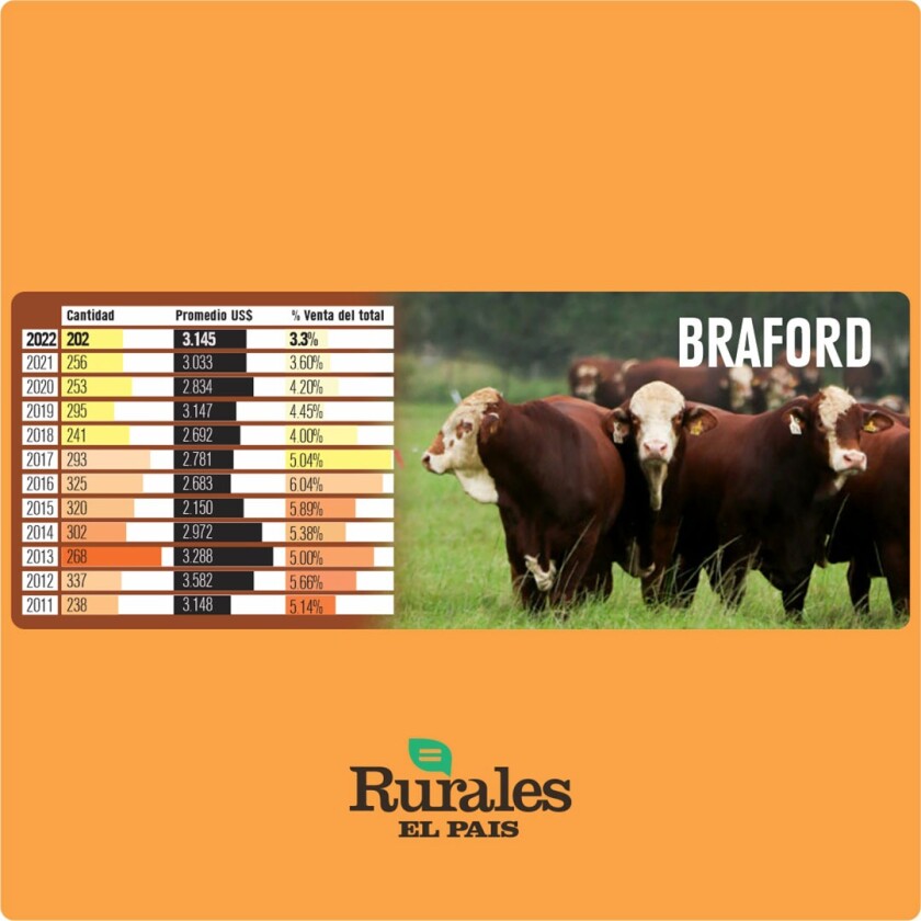 Braford: