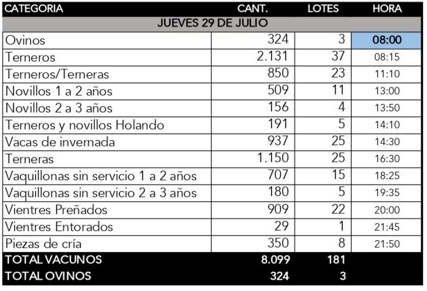 previa-julio-21.jpg