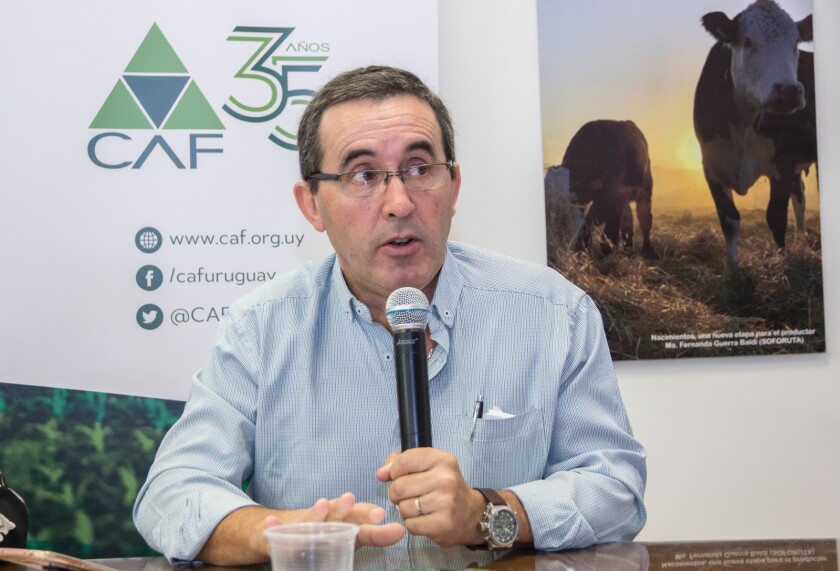 Pablo Perdomo, presidente de las Cooperativas Agrarias Federadas (CAF)