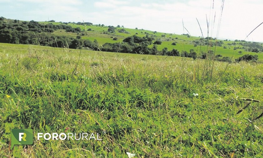 foro-rural.jpg