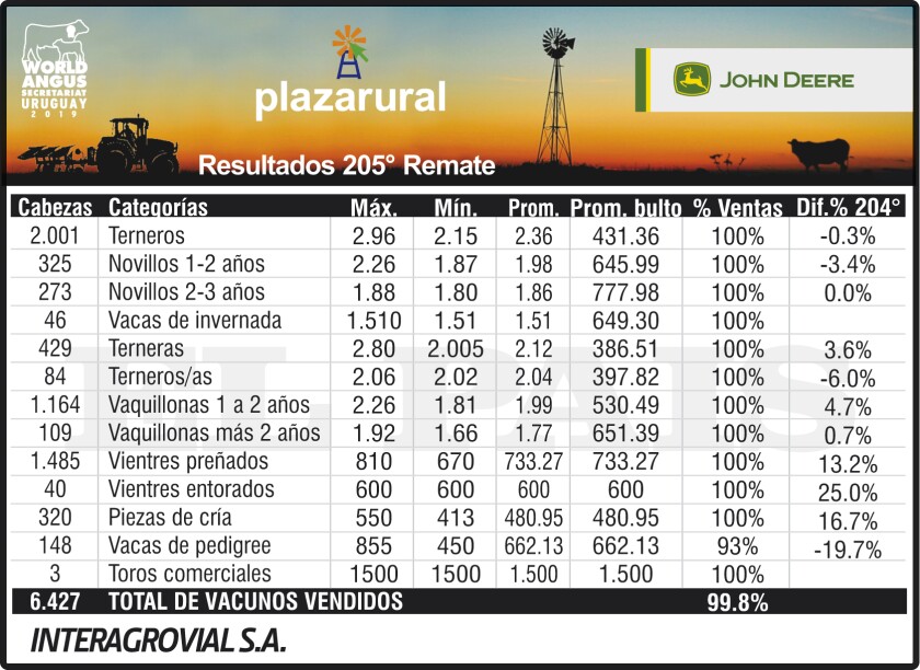3x6 Plaza 205.cdr
