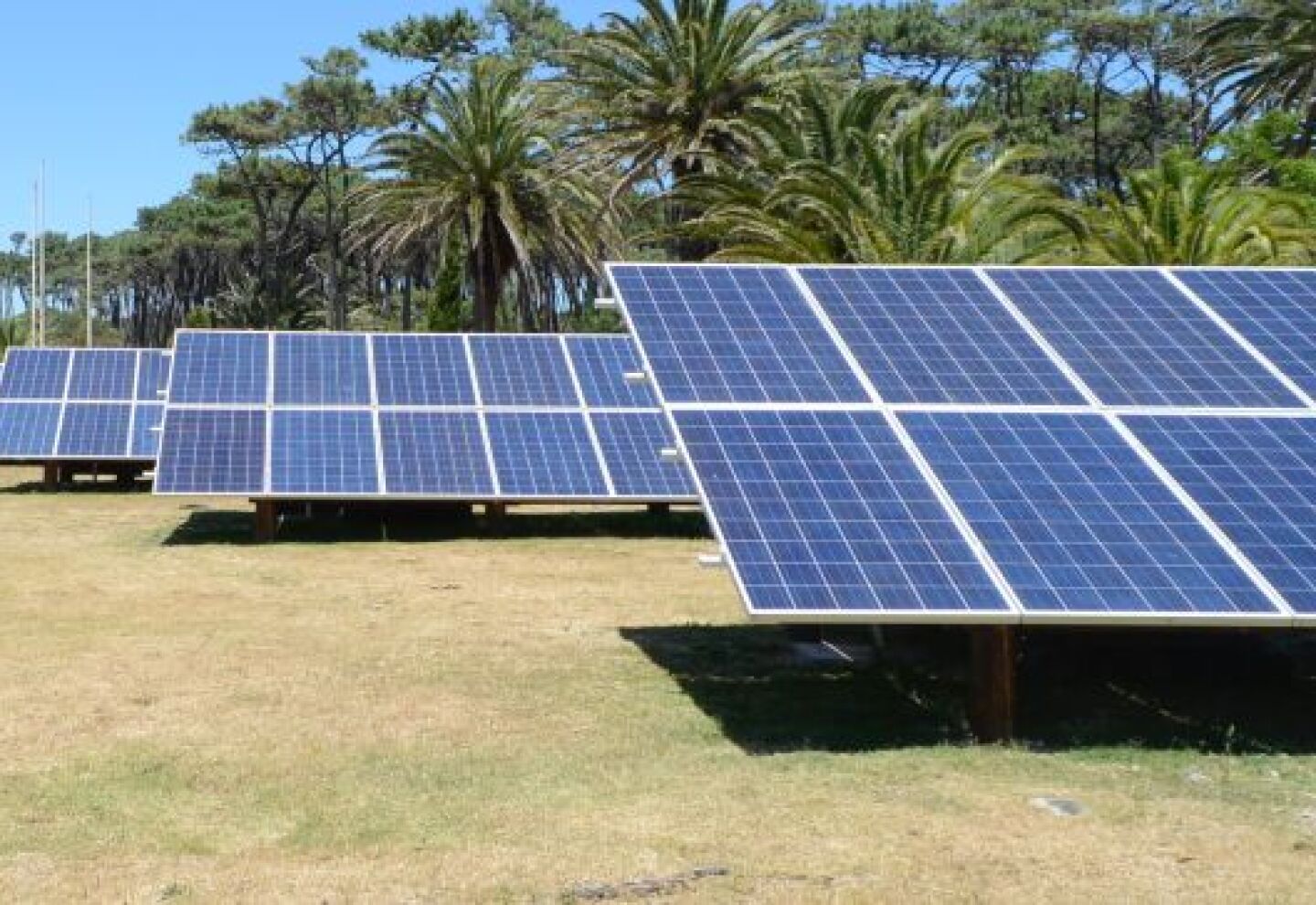 Comenzó a operar el parque solar fotovoltaico más grande de Uruguay ...