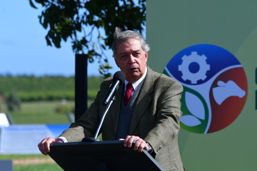 Fernando Mattos