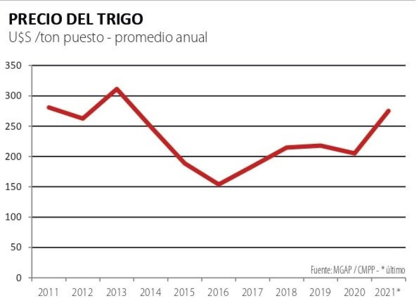 Precio del trigo ok.jpg