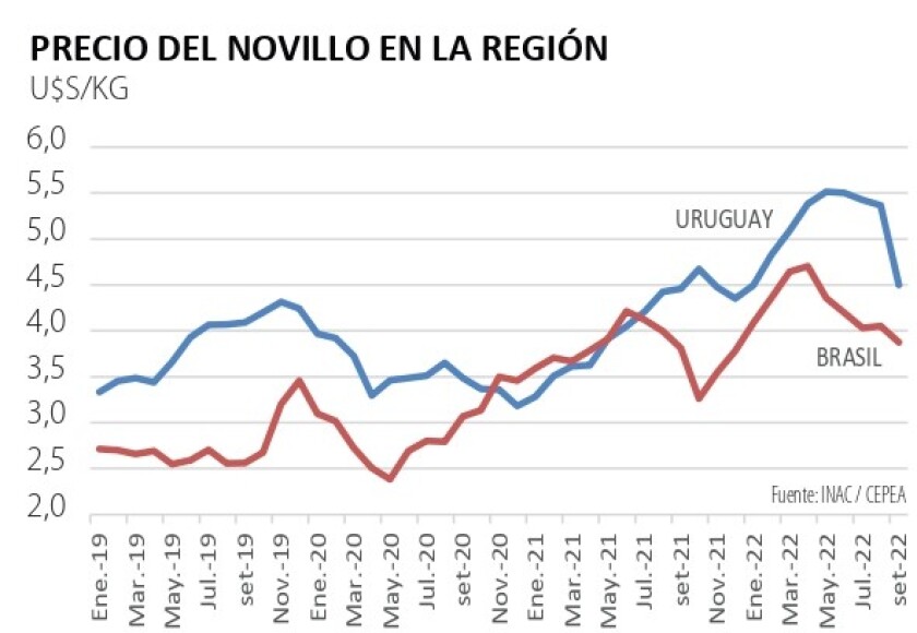 precio novillo en la region .jpg