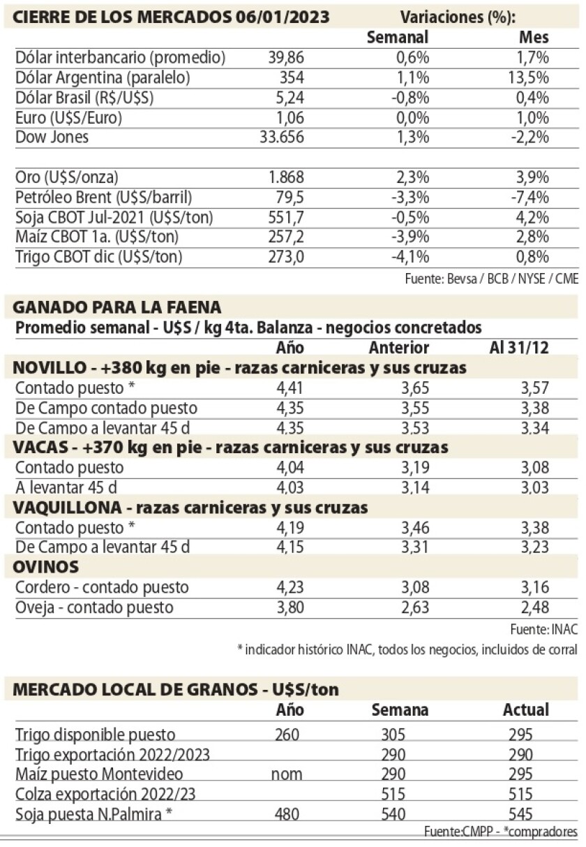 Cuadros NCL.jpg