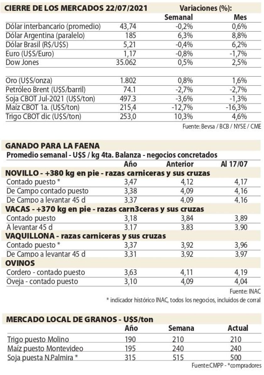cuadros-ncl.jpg