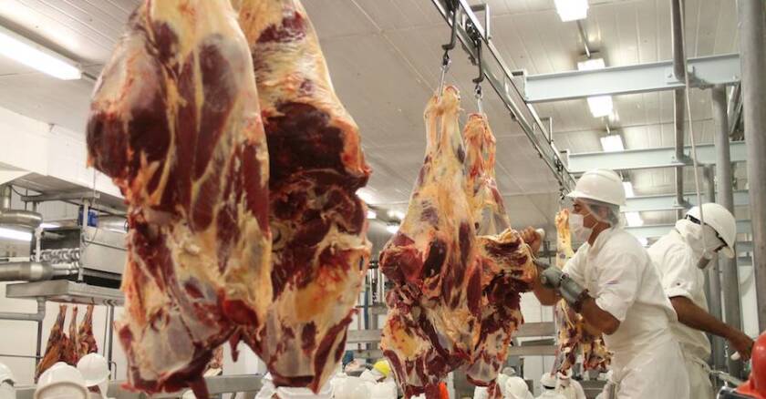 Carne bovina