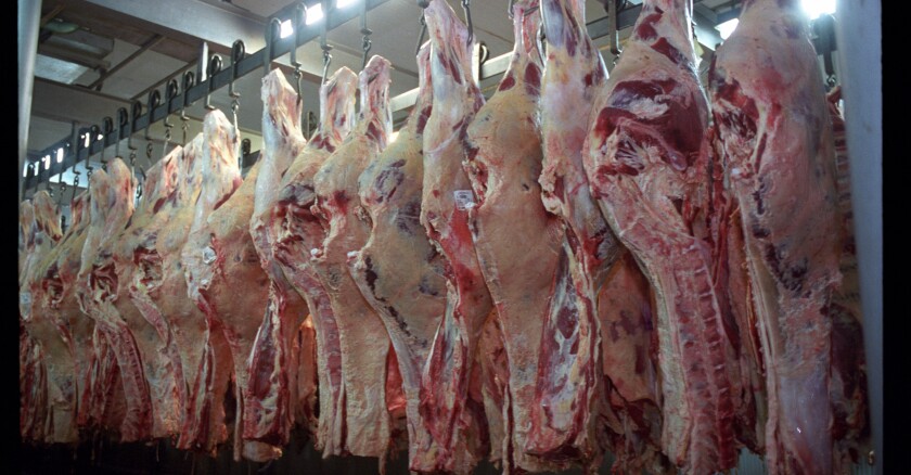 Carne