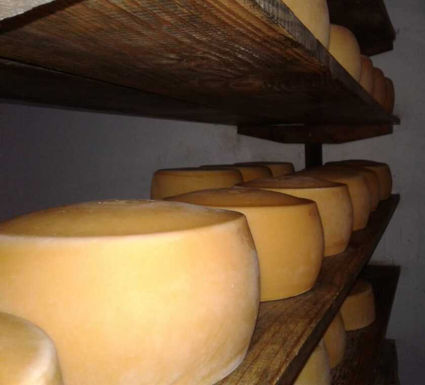 En Colonia se realizó la presentación de la tercera fase del Acuerdo Interinstitucional para el Desarrollo de la Quesería Artesana etapa en la que participan 185 productores. En total han sido contemplados unos 600 productores de siete departamentos diferentes.