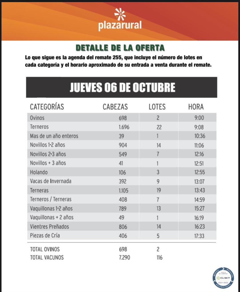 La oferta.jpeg