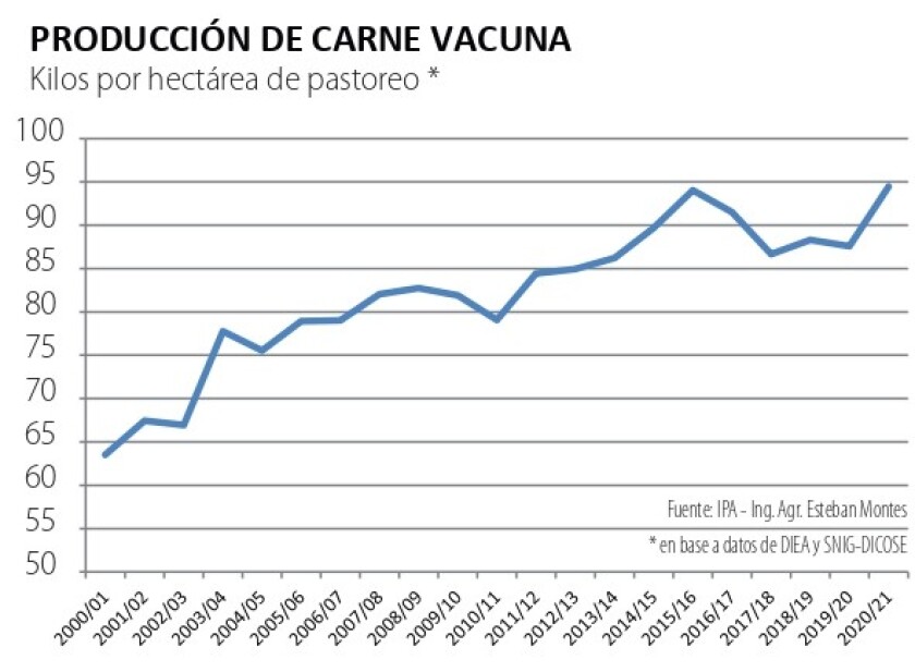 produccion carne vacuna.jpg