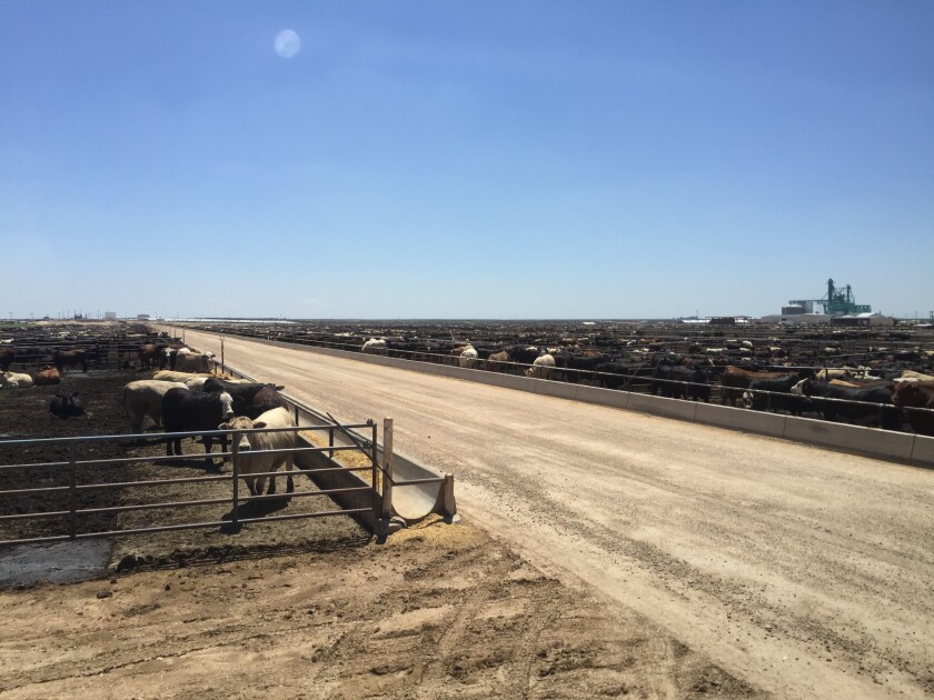 xit-feeders-jbs-amarillo-texas-19.jpg