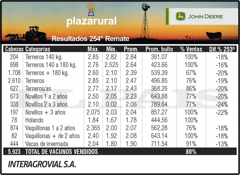 3x6 Plaza 254.jpg