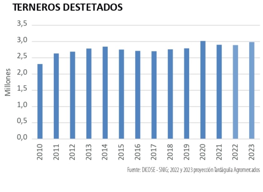 terneros destetados