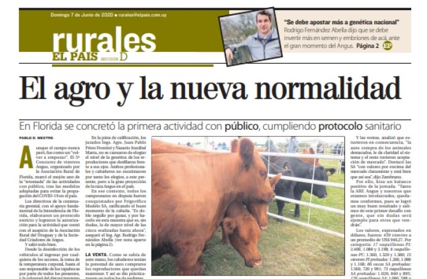 rurales.jpg