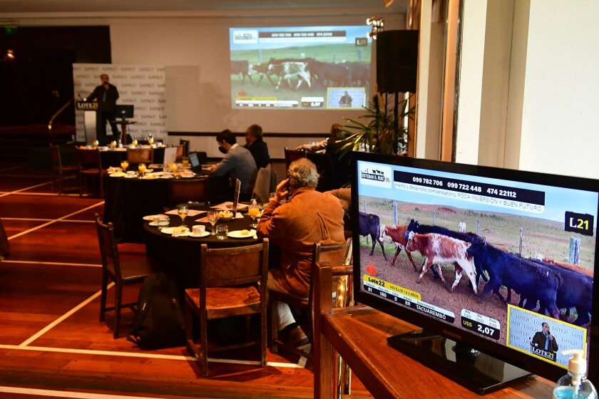 lote-21-previa-septiembre.jpg