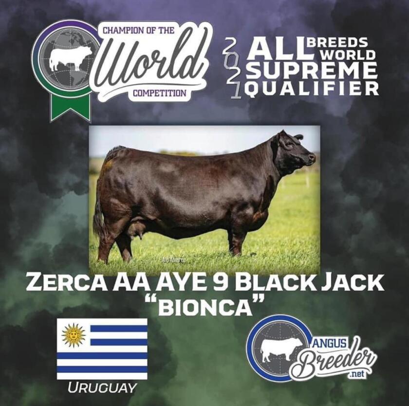 bionica.jpeg