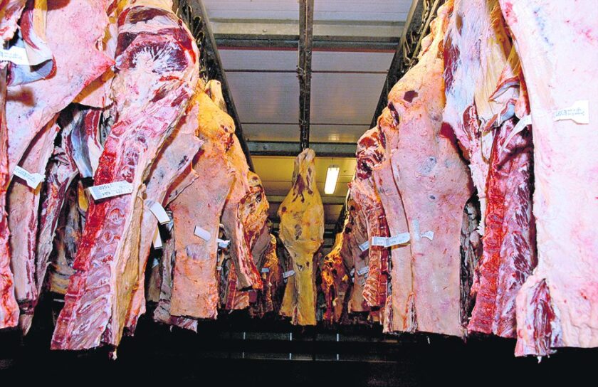 carnes-1024x663.jpg
