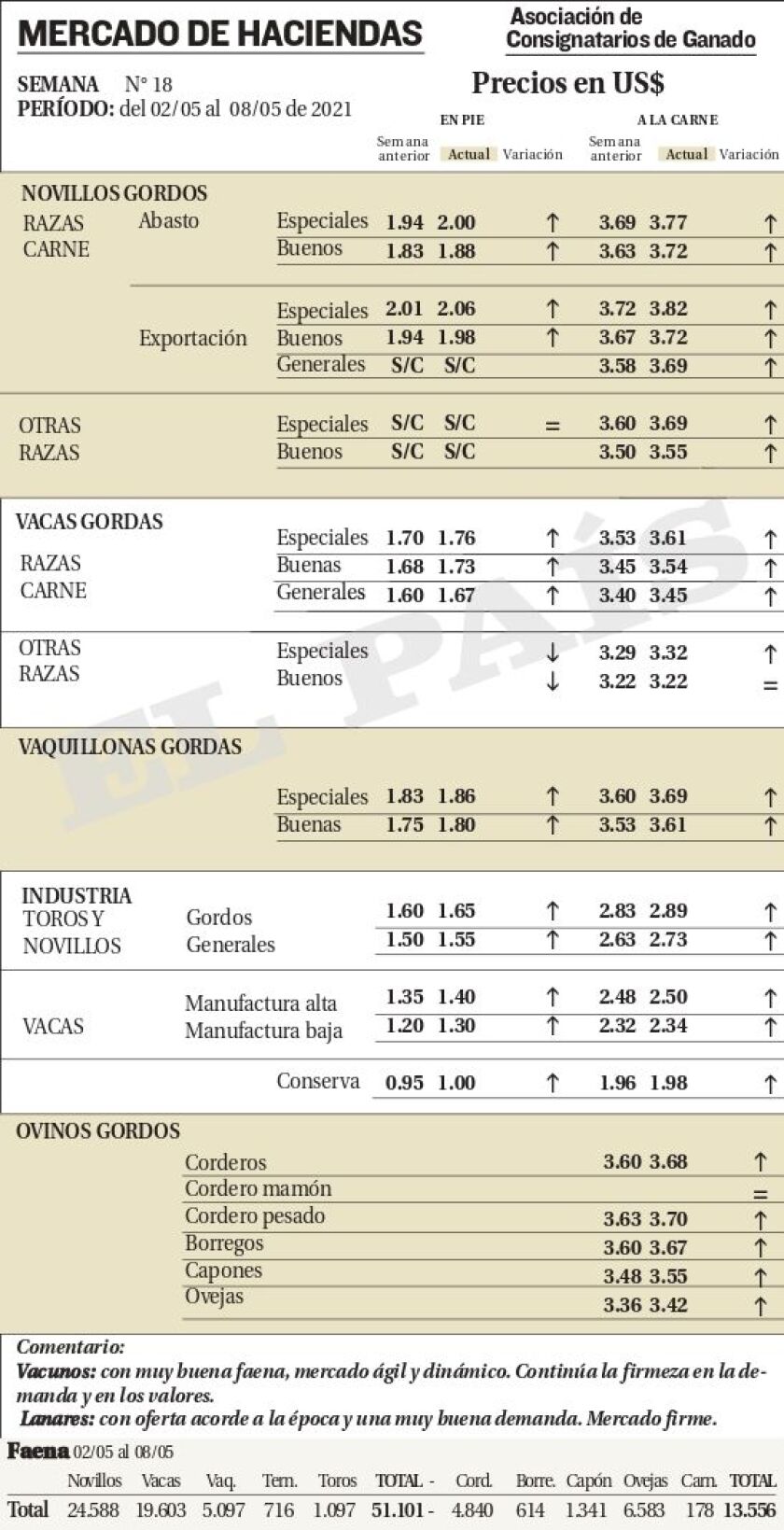 whatsapp-image-2021-05-10-at-21-37-37.jpeg