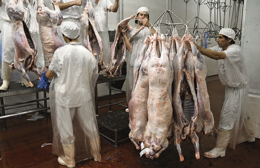 CARNE