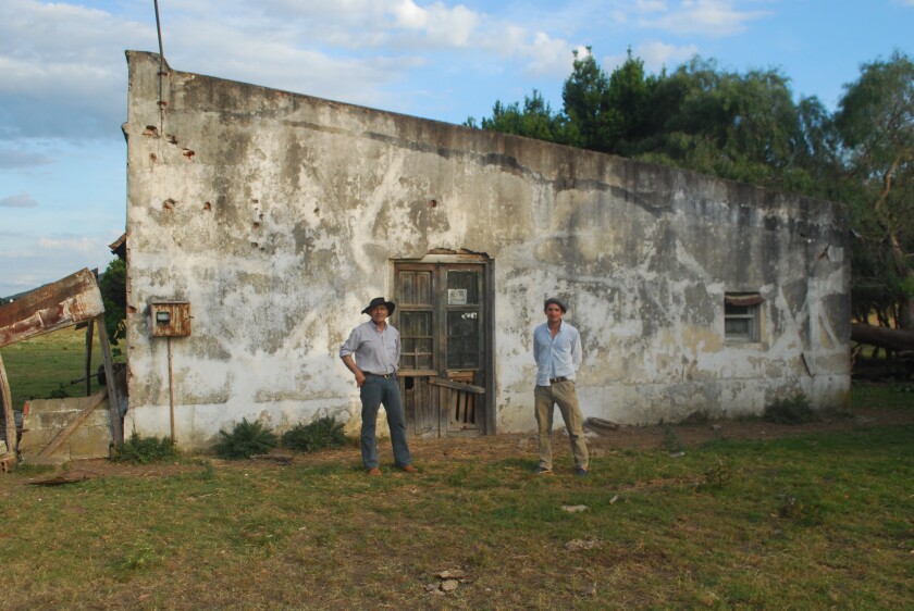 dsc-2987-1.jpg