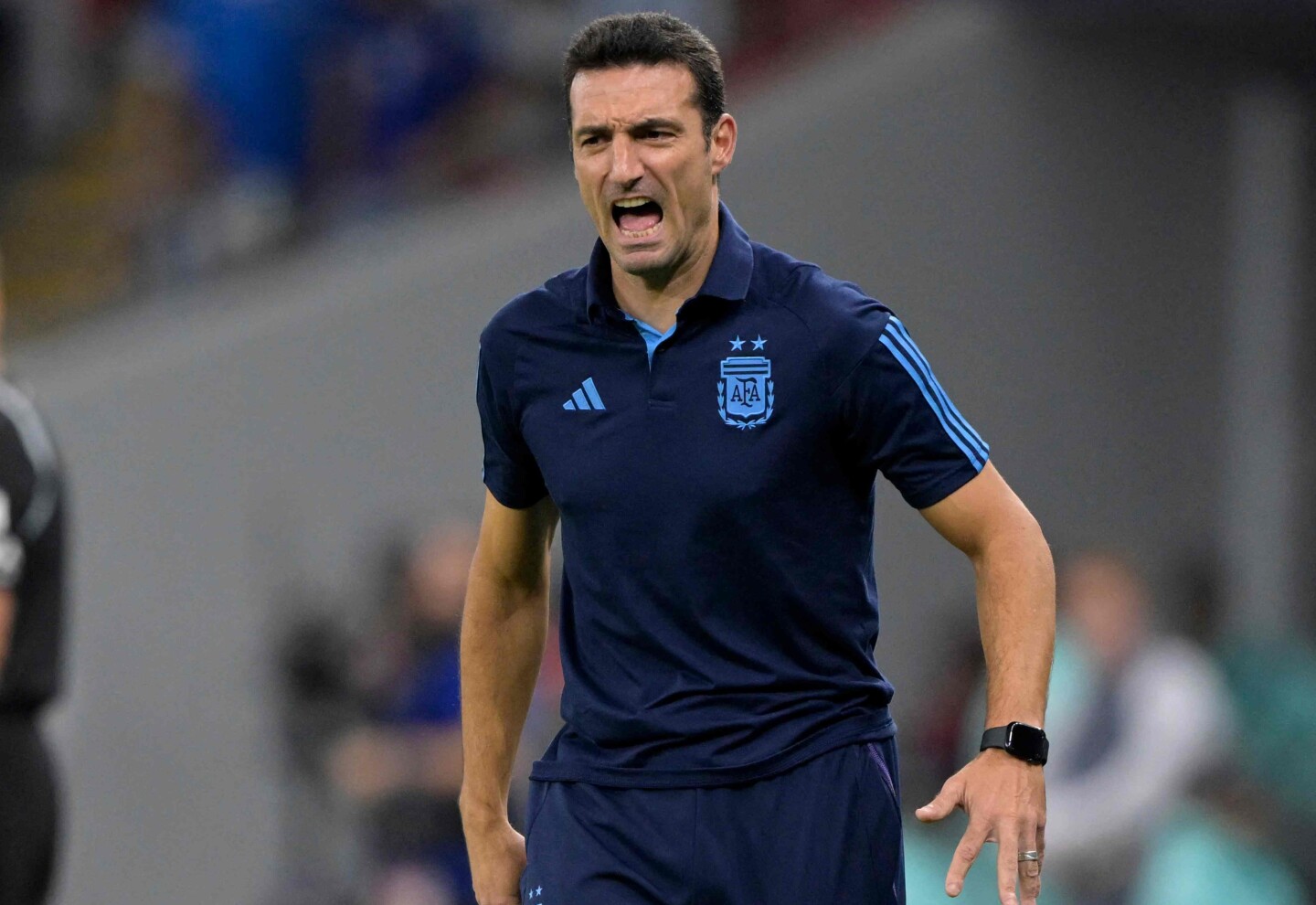 Lionel Scaloni, coach of Argentina.
