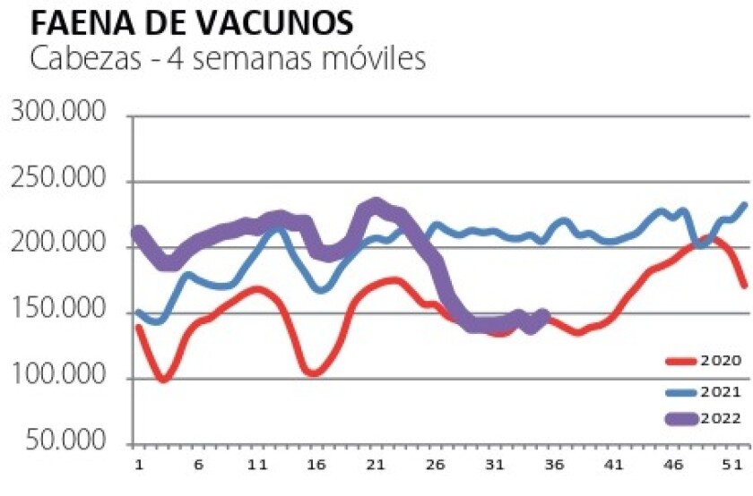 faena vacunos .jpg