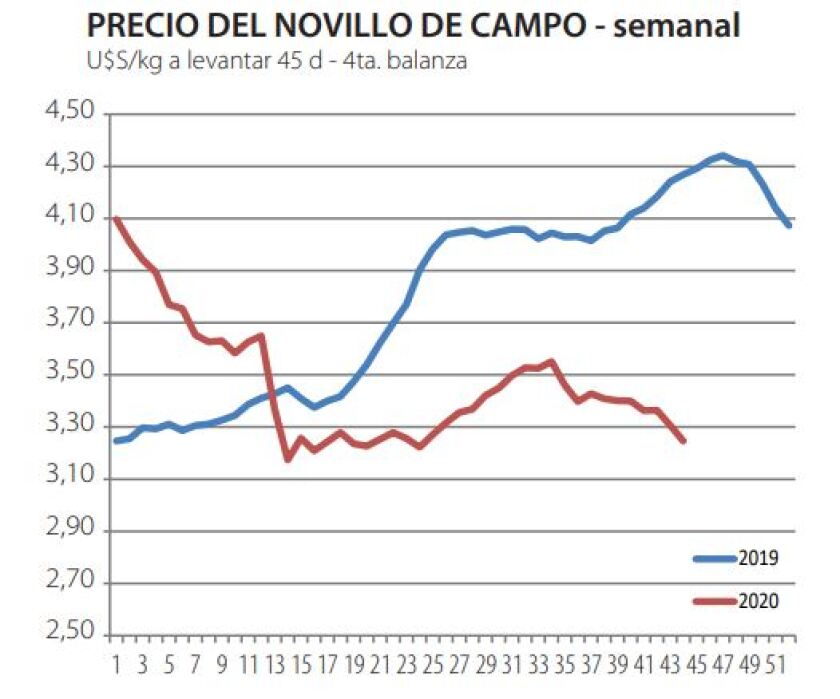 novillo.jpg